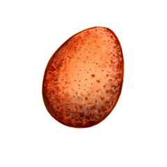 spotted bird egg yellow brown blue