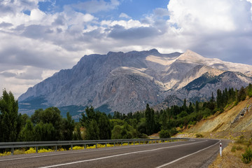 Fototapeta premium Panoramic view of the mountain with road, forest and cloudy sky in summer