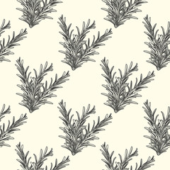 Fototapeta premium Rosemary herb branch ink sketch seamless pattern. Monochrome food ingredient wallpaper.
