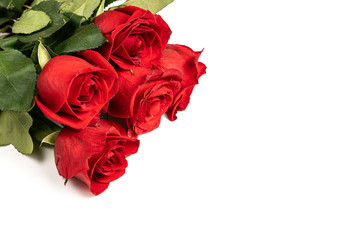 Isolated red roses on a white background with space to write. Concept of Valentine's Day, anniversary or mother's day.