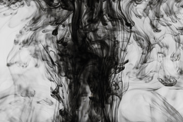Abstract black and white background: ink effectively spread in the water. Copyspace.