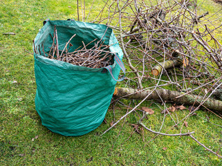 Baumpflege Baumschnitt im Garten Gartenabfälle
