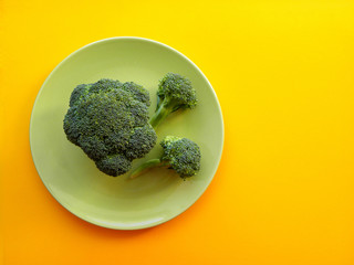 fresh broccoli in a green plate on a yellow background