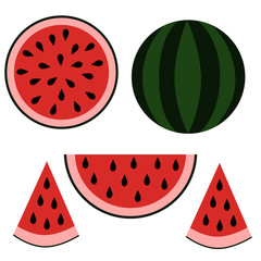 vector juicy watermelon on a delicate background