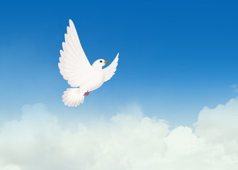 illustration of dove in flight
