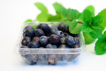 Still life photos of blueberries and green leaves on a white background.
