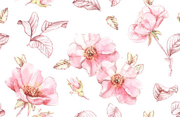 Watercolor Briar flowers seamless pattern. Botanic hand drawn illustration. Rose leaves, buds and ink leaves on white for wedding, surface, textile, wallpaper design