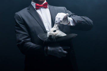 cropped view of professional magician showing trick with white rabbit in hat, in dark room with...