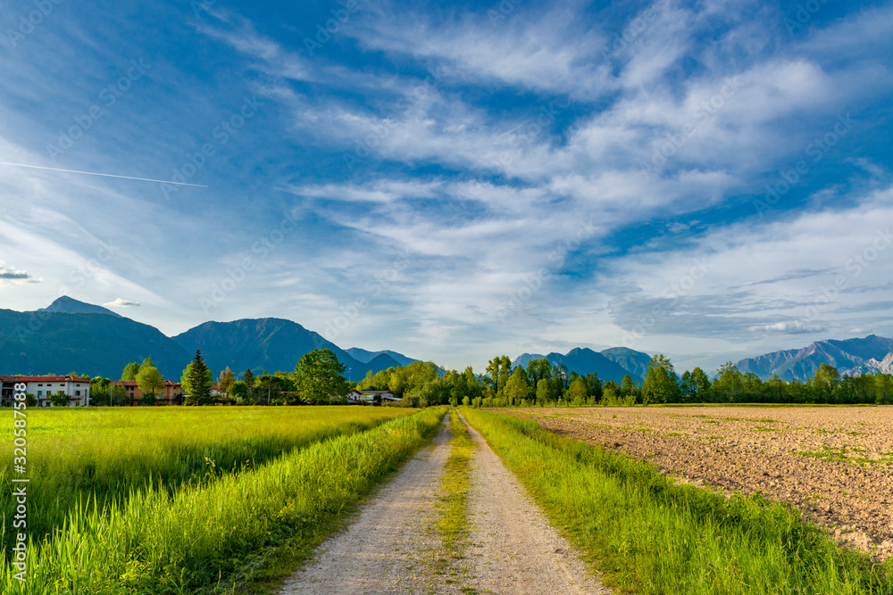 Poster countryside landscape in pordenone, italy