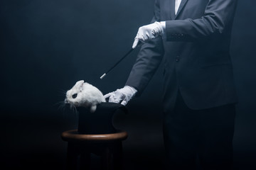 cropped view of magician showing trick with wand and white rabbit in hat, in dark room with smoke
