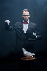 magician showing trick with dove, wand and hat in dark room with smoke