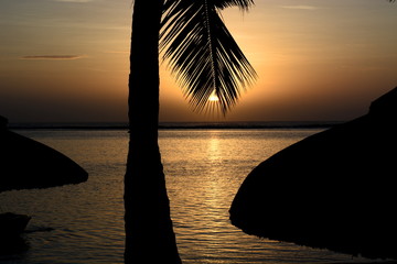coucher de soleil et cocotiers, oc&eacute;an indien