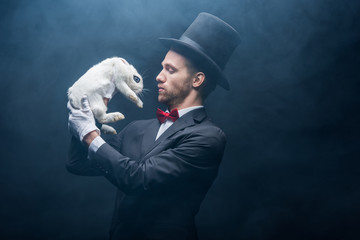professional magician in suit and hat looking at white rabbit, dark room with smoke - obrazy, fototapety, plakaty
