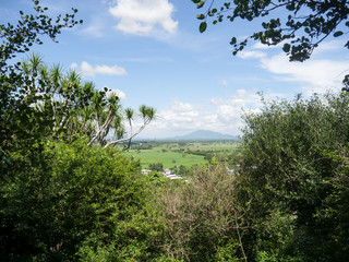 Mountain view with a blue sky from a forest view