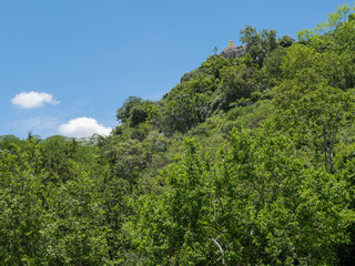 Fototapeta premium Forest in a mountain and blue sky and temple on the top of hill