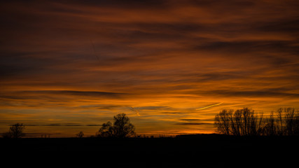 Fototapeta na wymiar sunset over the trees