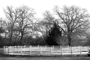 Open air round pen ready for a winter dressage training. Black and white colors