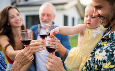 Portrait of people with wine outdoors on family garden barbecue.