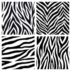 Set of 4 black and white seamless patterns with zebra fur prints. Vector wallpapers. Exotic wild animalistic skin textures.