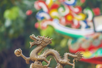Obraz premium chinese dragon