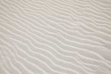 White Sand dunes background texture. Beach and sand texture. Pattern of sand. Beautiful sand dune in sunrise in the desert. Steps on the beach sand. - obrazy, fototapety, plakaty