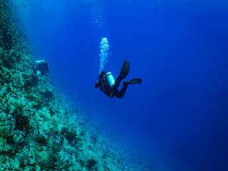 Naklejka na ściany i meble maldive scuba diving