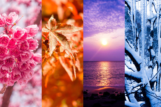 Goniva74 Photos Images Assets Adobe Stock Goniva74 Photos Images Assets Adobe Stock
