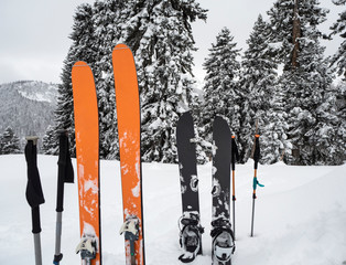 Mountain skis, splitboard and poles in snow at spruce forest background at winter day. Sport ski...
