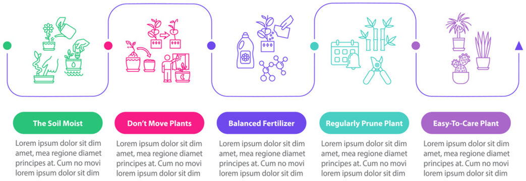 Indoor plants care vector infographic template. Pruning flowers. Gardening tips presentation design elements. Data visualization, five steps. Process timeline chart. Workflow layout with linear icons