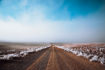 A road in the desert. Astrakhan Oblast, Russia