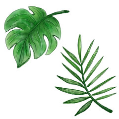 Watercolor painting of a leaf overwritten with stripes on a white background.