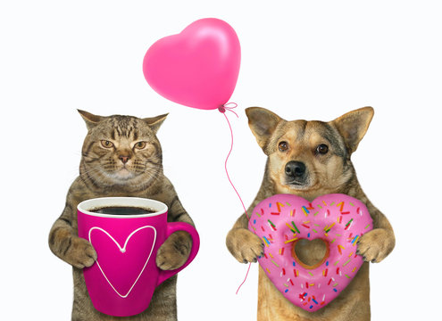 The Cat With A Cup Of Black Coffee And The Dog With A Heart Shaped Donut And A Pink Balloon Are Standing Together. White Background. Isolated.