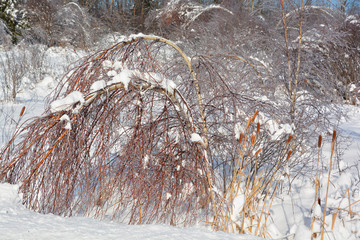 Winter landscape road in Bromont mountain , Eastern township  Quebec, Canada