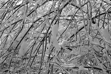 Winter landscape road in Bromont mountain , Eastern township  Quebec, Canada