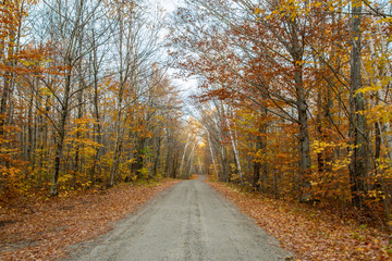 Obraz premium New Hampshire - Lonely Road 2