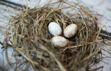 gniazdo jajka easter święta wielkanoc eggs