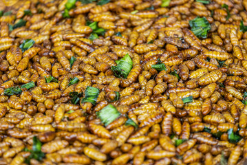 Street food in Thailand is very tasty and cheap