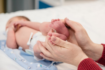 Newborn baby's legs in mom's hands
