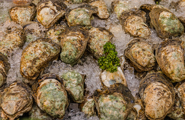 Street food in Thailand is very tasty and cheap