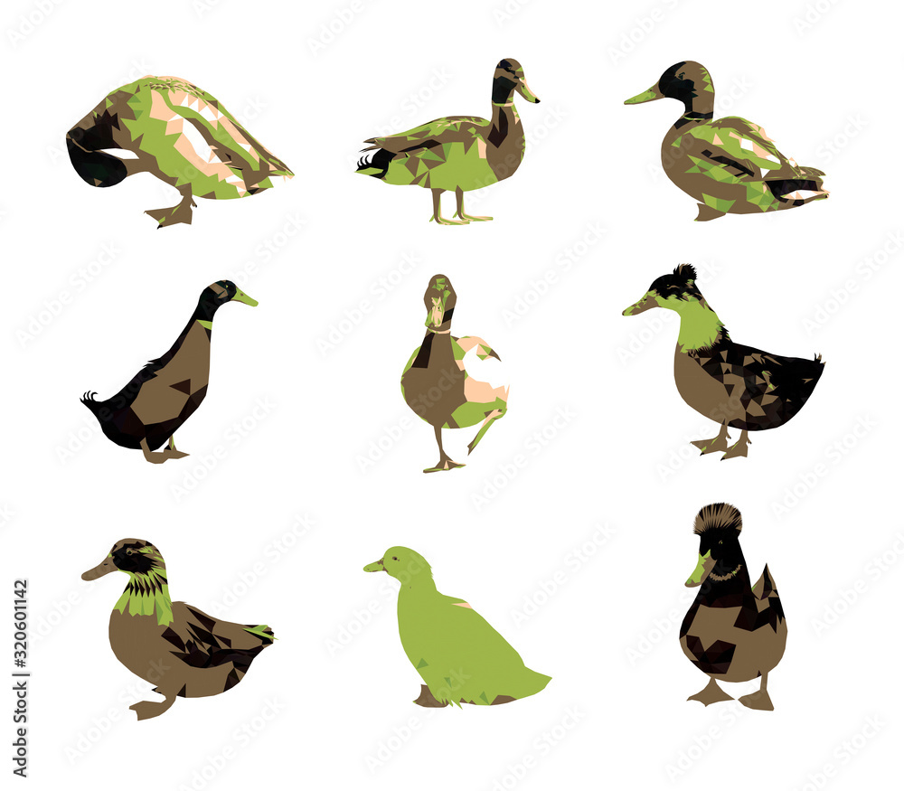 Wall mural Low poly triangular mallard duck set  in green and brown colors, different poses on white background, vector illustration isolated.  Polygonal style trendy modern logo design.