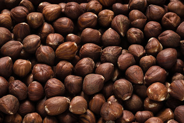 Frische Haselnüsse Haselnuss Hintergrund