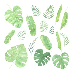 Fotobehang Tropische bladeren Watercolor hand drawn tropical leaves big set isolated on white background. Green banana, monstera, palm leaves set. Tropical foliage collection perfect for spring, summer design greeting cards. 
