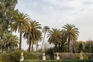Obraz na płótnie Canvas Palms and vegetation of Jardines de Murillo in Seville