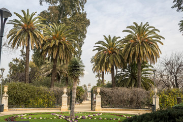 Fototapeta na wymiar Palms and vegetation of Jardines de Murillo in Seville
