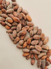Cabossé. Cacao beans. 