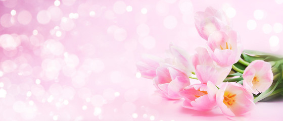 Spring background with flowers