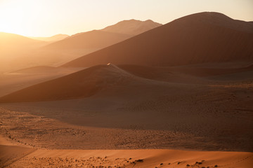 sand dune in the desert