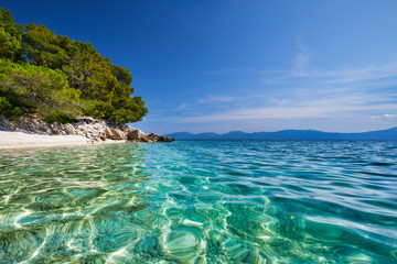 Amazing seascape of Adriatic sea. Luchica beach Croatia, Europe. Colorful summer view of small beach. Croatian coast with clear water and pine trees around. Tropical viewpoint for design postcard.