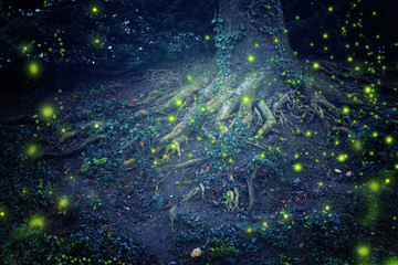 Abstract and magical image of Firefly flying in the night forest. Fairy tale concept