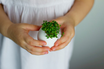 little girl holding cress salad in her hands